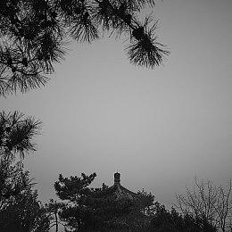 揭秘《原神》新地区挪德卡莱 创作团队分享设计理念和未来方向